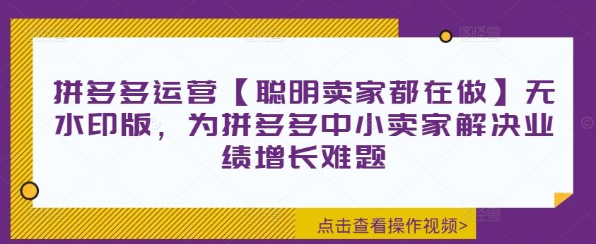 拼多多运营【聪明卖家都在做】无水印版，为拼多多中小卖家解决业绩增长难题-好创网