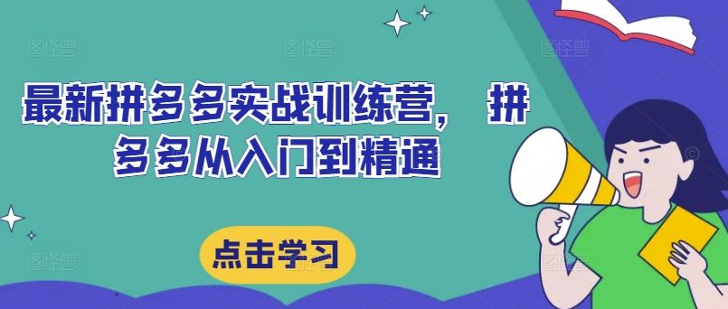 最新拼多多实战训练营， 拼多多从入门到精通-好创网