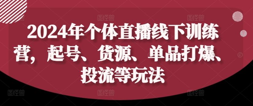 2024年个体直播训练营，起号、货源、单品打爆、投流等玩法-好创网