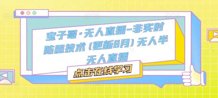 宝子哥·无人直播-非实时防风技术(更新8月)无人半无人直播-好创网