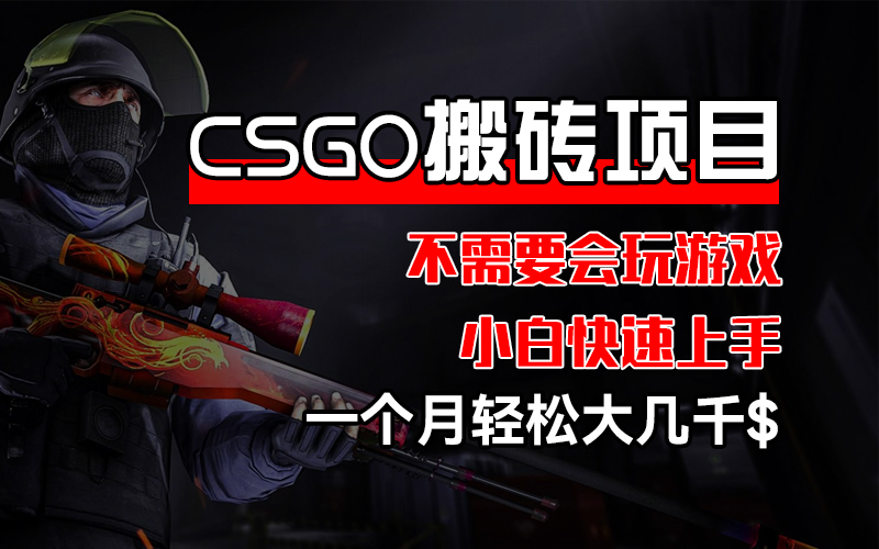 （12332期）CSGO 装备搬砖项目，操作简单，不需要会玩游戏，小白也能快速上手，一…-好创网