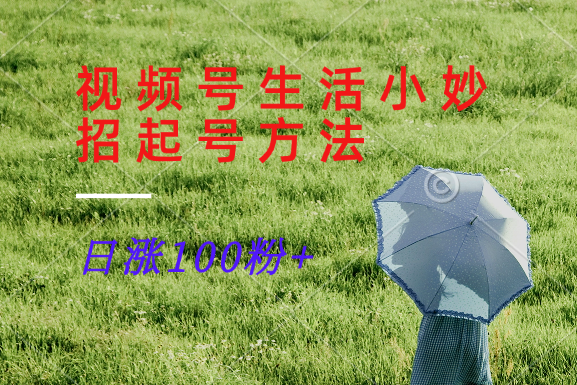 视频号生活小妙招分享赛道， 起号涨粉新方法，日涨100粉-好创网