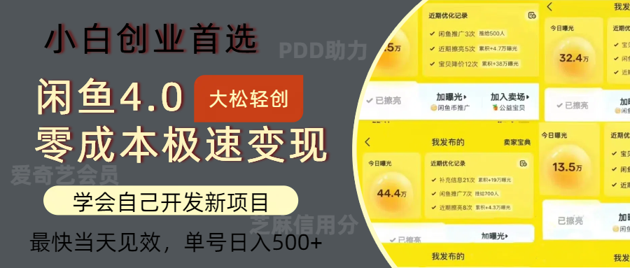 （12434期）闲鱼0成本极速变现项目，多种变现方式 单号日入500+最新玩法-好创网