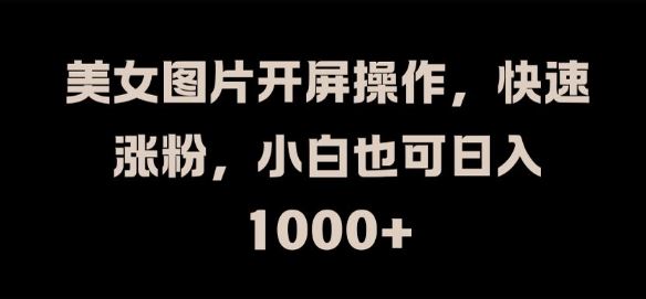 美女图片开屏操作，快速涨粉，小白也可日入1k【揭秘】-好创网
