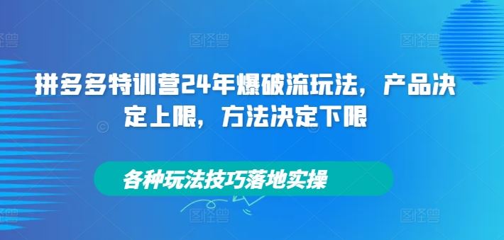 拼多多特训营24年爆破流玩法，产品决定上限，方法决定下限，各种玩法技巧落地实操-好创网