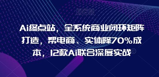 Ai终点站，全系统商业闭环矩阵打造，帮电商、实体降70%成本，12款Ai联合深度实战【0906更新】-好创网