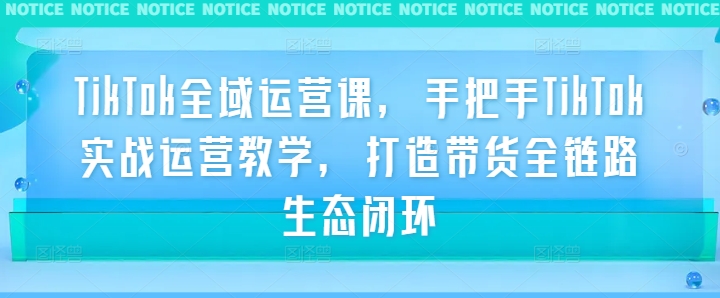 TikTok全域运营课，手把手TikTok实战运营教学，打造带货全链路生态闭环-好创网