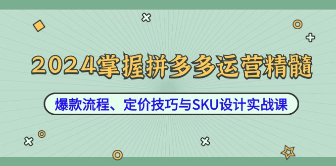 2024掌握拼多多运营精髓：爆款流程、定价技巧与SKU设计实战课-好创网