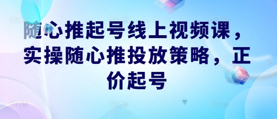 随心推起号线上视频课，实操随心推投放策略，正价起号-好创网