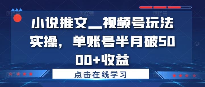 小说推文—视频号玩法实操，单账号半月破5000+收益-好创网