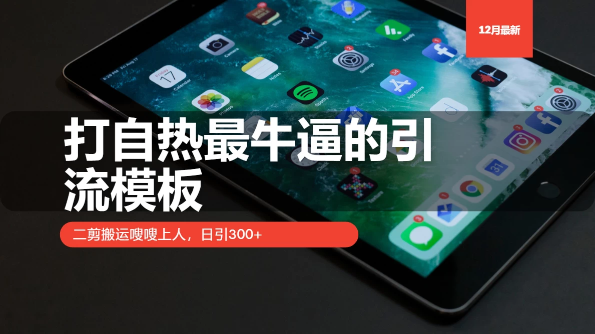 打自热最牛逼的引流模板，二剪搬运嗖嗖上人，日引300+-好创网