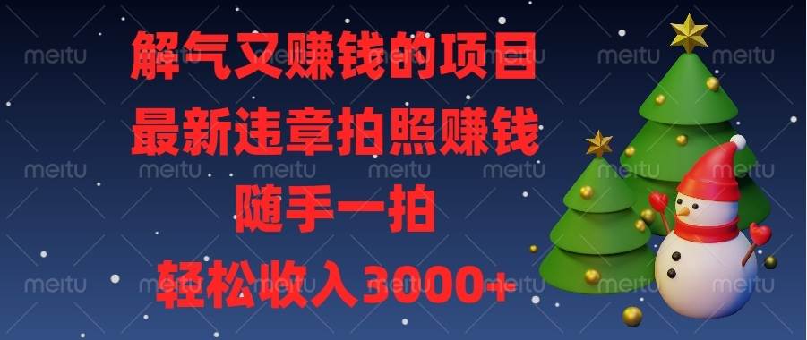 （13686期）解气又赚钱的项目，最新违章拍照赚钱，随手一拍，轻松收入3000+-好创网