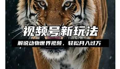 利用动物世界解说视频，赚分成计划收益，轻松月入过W，操作简单【揭秘】-好创网
